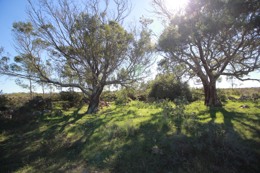 0 Bedroom Property for Sale in Mossel Bay Rural Western Cape
